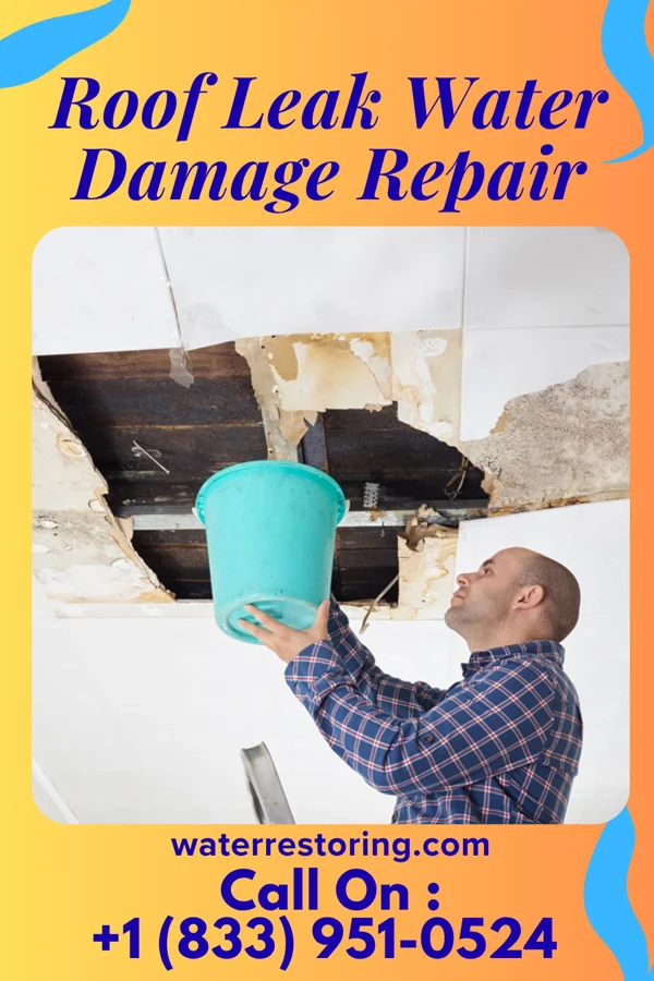 Roof Leak Water Damage Repair in Cross Mountain, TX